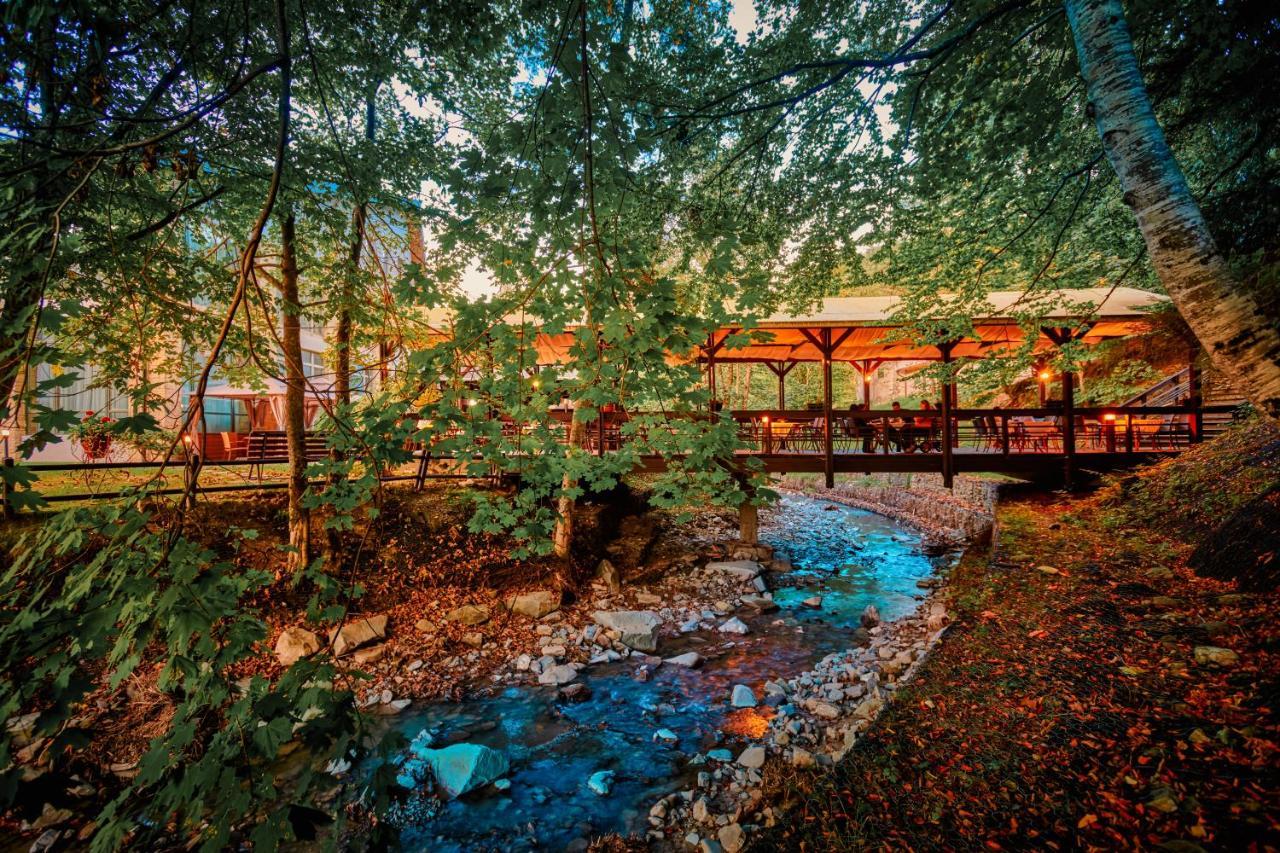 Hotel & Restaurant Sofia スチェヴィツァ エクステリア 写真