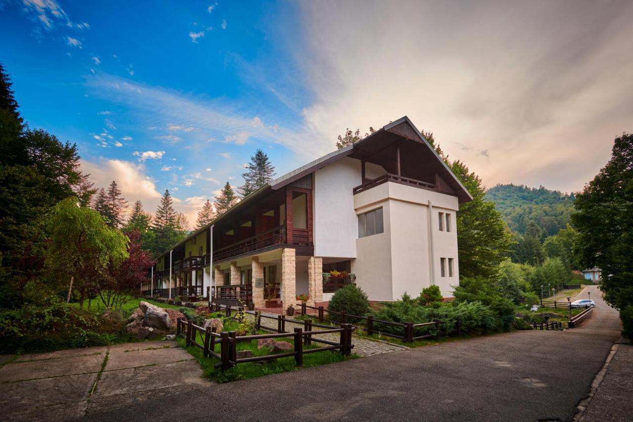 Hotel & Restaurant Sofia スチェヴィツァ エクステリア 写真