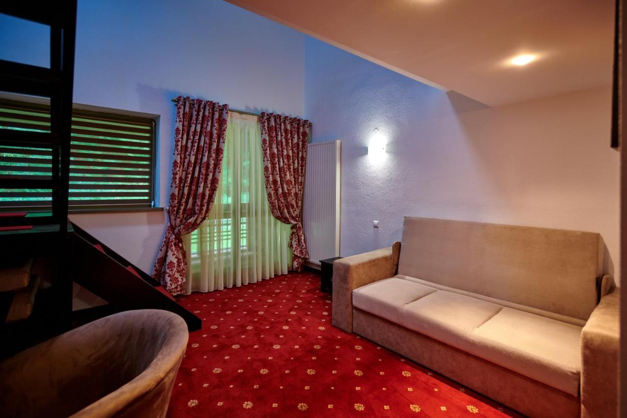 Hotel & Restaurant Sofia スチェヴィツァ エクステリア 写真